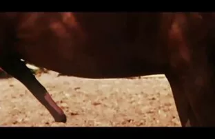 XXX Två mogna gratis sexfilm mobil kycklingar ung vän