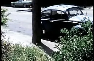 XXX Stora kycklingar sexfilm por bald boss skit