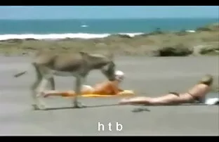 XXX Stor Flicka porr sexfilm Knulla Tonåring Blond