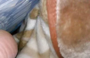 XXX Ryska sippra erotisk sexfilm in i hålet med gummiband